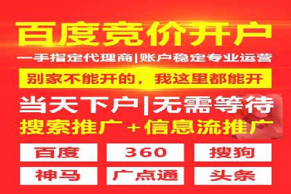 百度竞价与搜索引擎优化（SEO）结合的经典案例